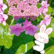 ヒメ日記 2026/06/02 09:11 投稿 高橋　まゆ ミセス・レヴォアール～再会～