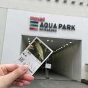 ヒメ日記 2026/04/10 14:25 投稿 とわ 品川ハイブリッドマッサージ