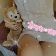 ヒメ日記 2026/05/01 19:21 投稿 とわ 品川ハイブリッドマッサージ