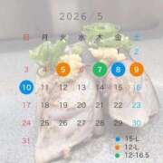 ヒメ日記 2026/05/05 14:35 投稿 あすな Evolution 2nd
