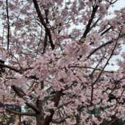 ヒメ日記 2026/04/06 14:12 投稿 れお 奥様の実話 谷九店