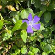 ヒメ日記 2026/04/20 12:02 投稿 れお 奥様の実話 谷九店