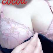 ここあ先生 ぽかぽか♡ 渋谷   大人の幼稚園