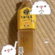 ヒメ日記 2026/05/09 01:52 投稿 なこ スピード梅田店
