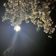 ヒメ日記 2026/04/06 10:02 投稿 かおり スピード梅田店