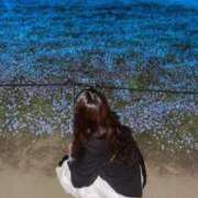 ヒメ日記 2026/04/16 20:08 投稿 潤【ウル】 ピンクコレクション尼崎店