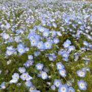 ヒメ日記 2026/04/24 16:52 投稿 潤【ウル】 ピンクコレクション尼崎店