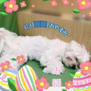 みほ あれこれそれ 大宮人妻デリヘル～大人の事情～