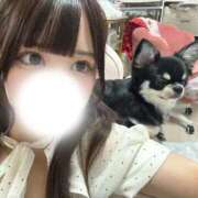 ヒメ日記 2026/07/03 13:40 投稿 ゆい 学校帰りの妹に手コキしてもらった件 梅田