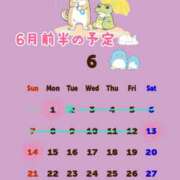 ヒメ日記 2026/05/24 12:45 投稿 アイリ かぐや姫
