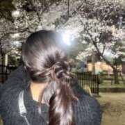 ヒメ日記 2026/04/05 00:49 投稿 ゆあん Ace(エース)