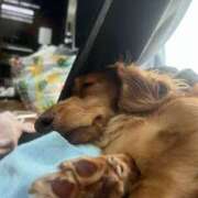 さく お願い🥺 激安ドットコム