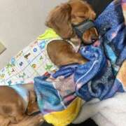 さく ありがとう😌🩷 激安ドットコム