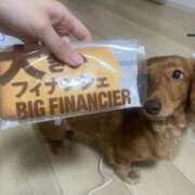 ヒメ日記 2026/06/17 16:59 投稿 さく 激安ドットコム