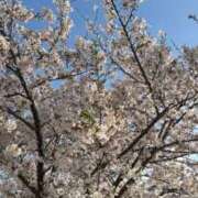 ヒメ日記 2026/04/06 17:38 投稿 水瀬 あい ホットアロマ