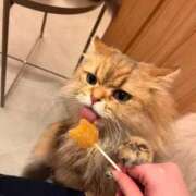 ナナセ 🐈 MEGA PALACE(メガパレス）