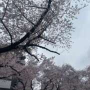 まお 春だね🌸 全裸SUPERプレミアム