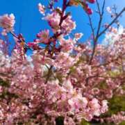 ヒメ日記 2026/04/02 18:35 投稿 まいか 君とふわふわプリンセスin熊谷