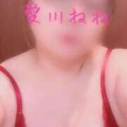 ヒメ日記 2026/04/04 21:04 投稿 愛川ねね しこたま奥様　熊本店（アクセスグループ）