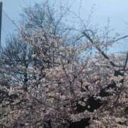 三浦らん ありがとうございました🤍 洗体アカスリとHなスパのお店（埼玉ハレ系）