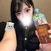 みみ しゅっきんだよ！ スパーク日本橋