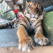 ヒメ日記 2026/04/02 22:01 投稿 ゆあら 若妻淫乱倶楽部