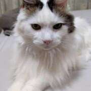 ヒメ日記 2026/04/02 17:18 投稿 りおな クラブ貴公子