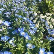 ヒメ日記 2026/04/04 18:31 投稿 神宮寺みんと ABC 岩手ソープ