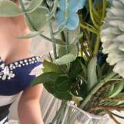 ヒメ日記 2026/04/06 21:01 投稿 神宮寺みんと ABC 岩手ソープ