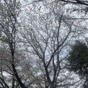 ヒメ日記 2026/04/09 22:02 投稿 みる 新宿スピン