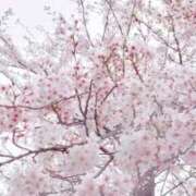 ヒメ日記 2026/04/03 13:57 投稿 りむる 熟女の風俗最終章 宇都宮店