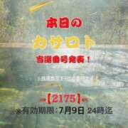 ヒメ日記 2026/06/26 10:17 投稿 鈴谷ゆうり 五十路マダム 田辺店
