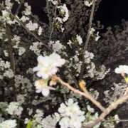 ヒメ日記 2026/04/18 04:56 投稿 夢川ここ ウルトラプラチナム