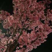 ヒメ日記 2026/04/22 20:28 投稿 夢川ここ ウルトラプラチナム