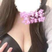 ヒメ日記 2026/04/05 12:22 投稿 ゆい 奥様特急長岡店