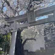 ヒメ日記 2026/04/09 18:21 投稿 ひなた 丸妻 池袋店