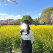 ヒメ日記 2026/04/06 20:53 投稿 あやせ（清楚系×ミニマムロリ！ ハニービー（Honey Bee）