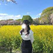 ヒメ日記 2026/06/01 00:23 投稿 あやせ（清楚系×ミニマムロリ！ ハニービー（Honey Bee）