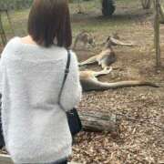 ヒメ日記 2026/04/08 18:15 投稿 みかん 和楽(わらく)