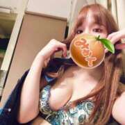 ヒメ日記 2026/04/11 21:15 投稿 みかん 和楽(わらく)