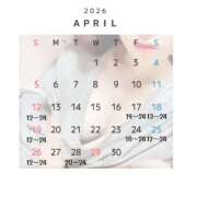 ヒメ日記 2026/04/12 14:36 投稿 ほのり バイオレンス