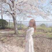 ヒメ日記 2026/04/03 21:01 投稿 寿々夏(すずか) 神戸泡洗体ハイブリッドエステ