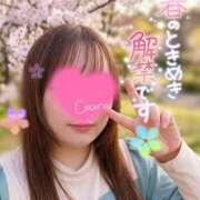 ヒメ日記 2026/04/02 20:02 投稿 ここな デブっ娘倶楽部