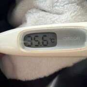 ヒメ日記 2026/04/04 11:17 投稿 マリナ(奥方) 奥様幕府