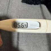 ヒメ日記 2026/04/08 10:27 投稿 マリナ(奥方) 奥様幕府