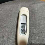 ヒメ日記 2026/04/10 10:27 投稿 マリナ(奥方) 奥様幕府