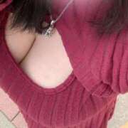 ヒメ日記 2026/04/13 02:07 投稿 マリナ(奥方) 奥様幕府