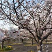 ヒメ日記 2026/04/04 10:27 投稿 水嶋 HERMINE-エルミネ-