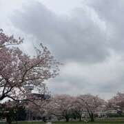 ヒメ日記 2026/04/06 20:48 投稿 水嶋 HERMINE-エルミネ-