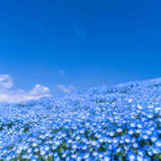 ヒメ日記 2026/04/21 22:01 投稿 水嶋 HERMINE-エルミネ-